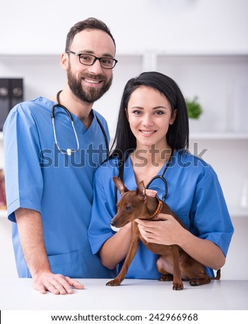 Veterinary clinic. Two  veterinarian doctors with a cute dog.