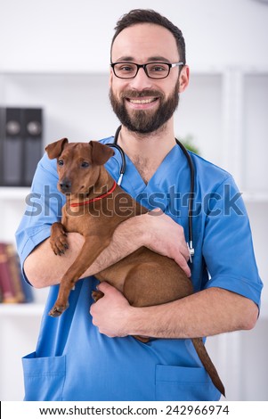 Veterinary clinic. Smiling male veterinarian is holding a dog.