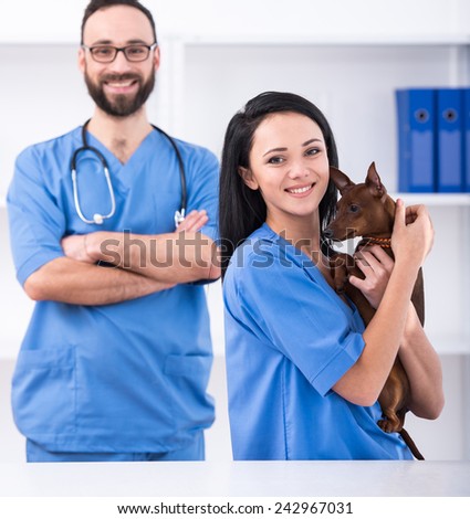 Two veterinary doctors with dog during the examination in veterinary clinic.