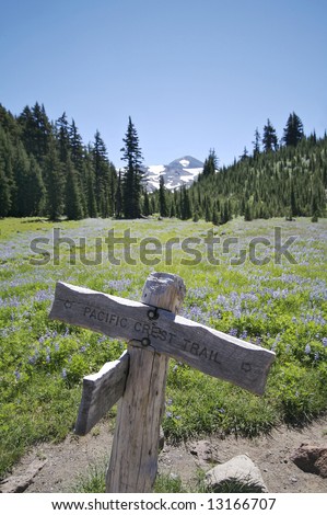 Trail marker for the Pacific Crest Trail in Oregon\'s Three Sisters Wilderness