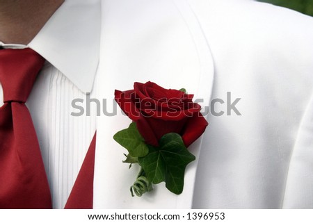 stock photo Wedding Groom Rose White Tuxedo