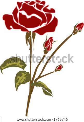 rose flower sketch. Red Rose Flower Bush