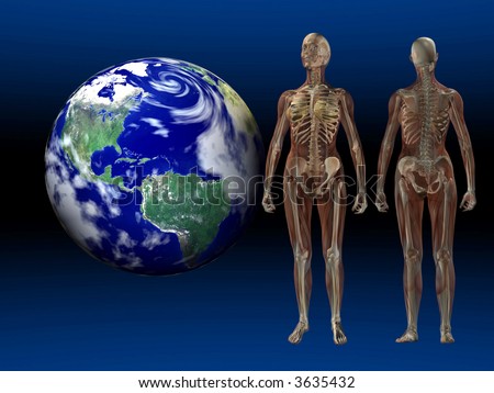 human anatomy skeleton. with Female Human Anatomy