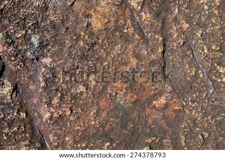 Orange dot stone texture
