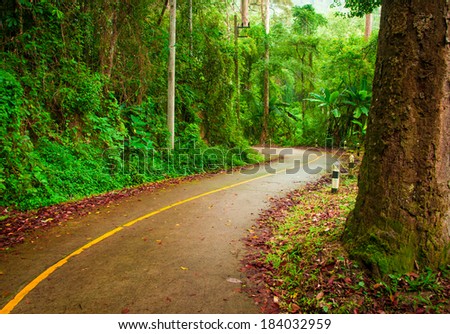 Road winding through the rain forest on Thailand national park