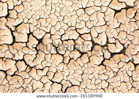 Dry, cracked dirt texture