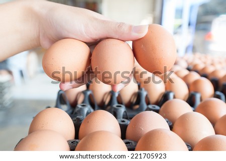 Eggs preserved in woman hand and panel wholesale market