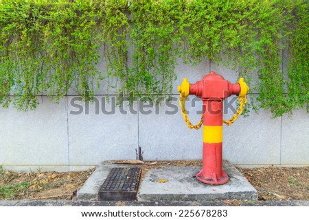 Green plant on the wall with red hydrant.