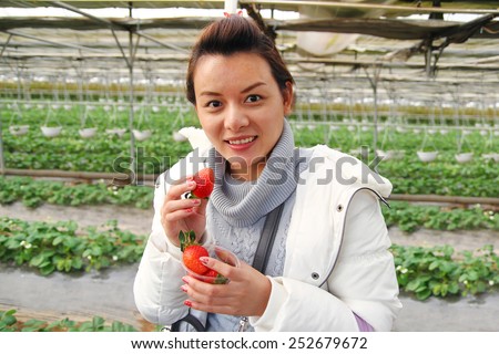 Asian beautiful tourist woman wearing overcoat in strawberry greenhouse, harvest, fresh, red