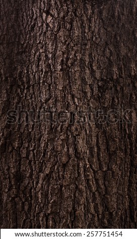 Patterned of dark tree peel,wood texture, nature, plant background.