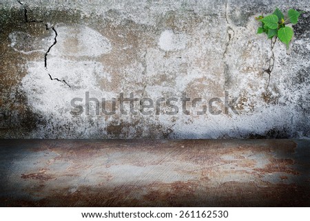 old grunge dark room concrete wall, rust stains concrete floor background with tree growing on the crack concrete wall