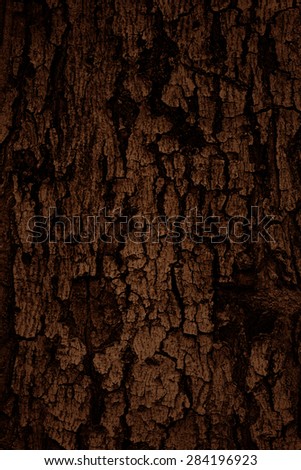 Patterned of grunge dark tree peel,wood texture, nature, plant background.