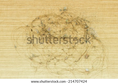 Close up, Dirty alopecia hair and dust on laminate floor.