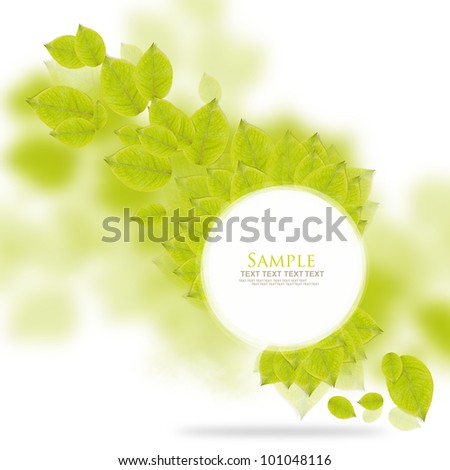 Fresh green leaves circle image border with space for text