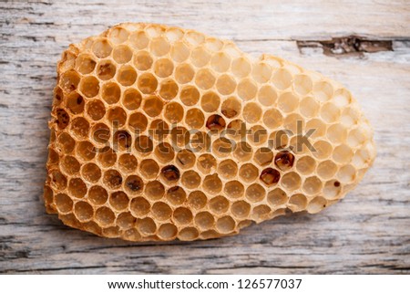 Empty honeycomb on rustic wooden background