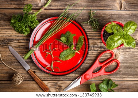 Freshly harvested spices with scissors and knife on wood background