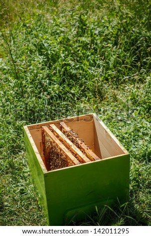 Wooden beehive on meadow, outdoor shot