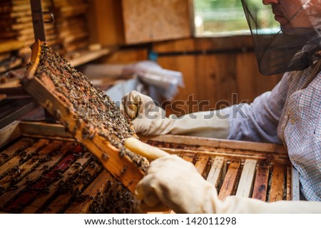 The beekeeper has control over a framework with honey