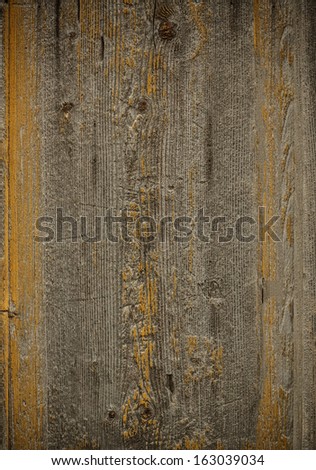 Old weathered wood plank with yellow moss