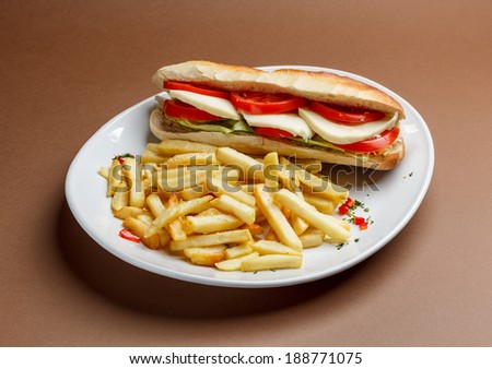 Vegetarian sandwich with french fries