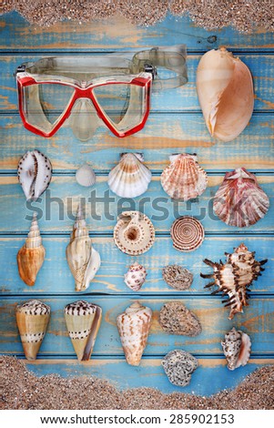 Seashell collection with sand and goggles on blue wooden board
