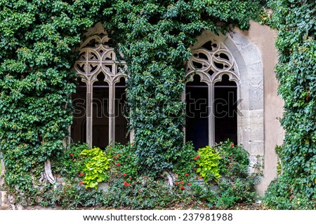 antique white arched window with climbing plants