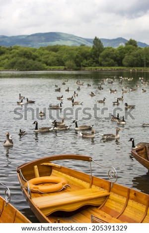 KESWICK, ENGLAND - JUNE 13: Lanscape near Lake Derwentwater in Keswick, England on June 13, 2013. Lake Derwentwater is part of the famous Lake District in England.