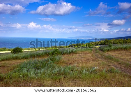 Meadow, overlooking the sea. June, the Black Sea