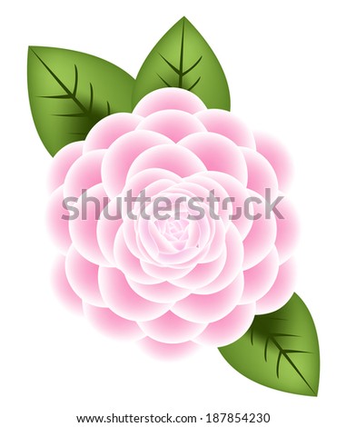 Vector of Flower Pink Rose