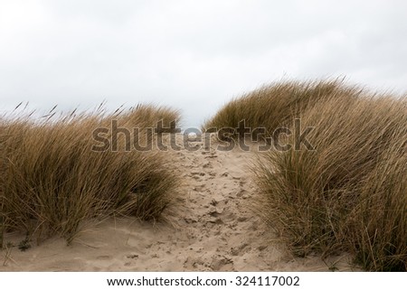 Footsteps in the sand in between sandy grass dunes - horizontal