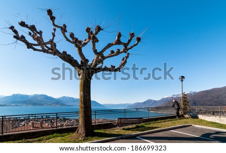 Plaza with tree above lake Maggiore