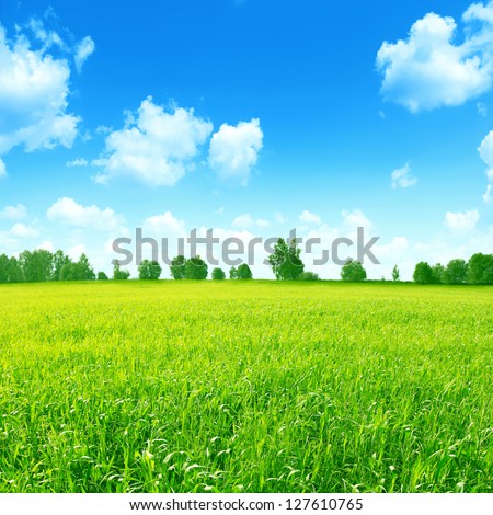 Green Field With A Row Of Trees On Horizon And Blue Sky With Clouds.