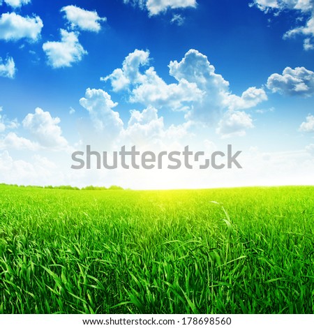 Summer landscape with field of grass,blue sky and sun.
