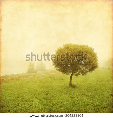 Old style photo of lonely tree in the field.
