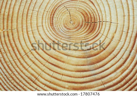 background texture wood. wood background texture.