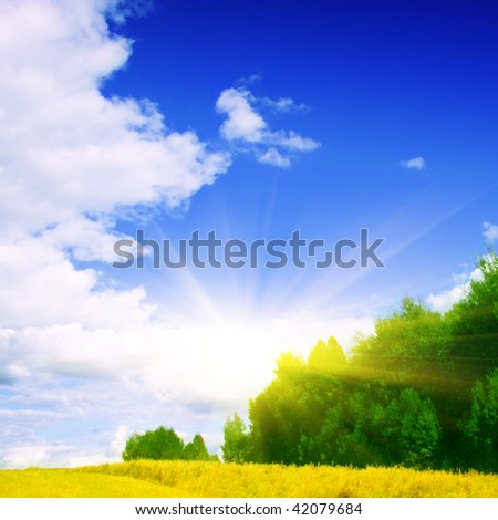 Sun,green forest and yellow field.