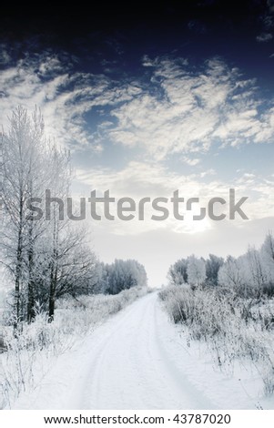 Winter road and forest.