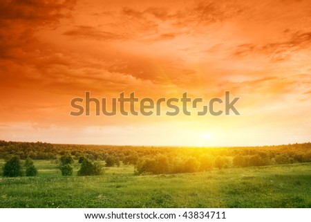 Green field and trees at sunset.