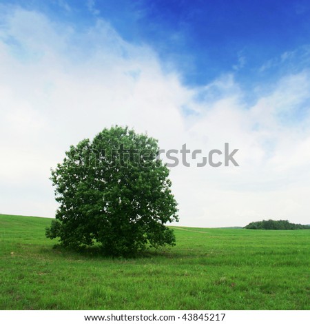 Green field and tree under blue sky.