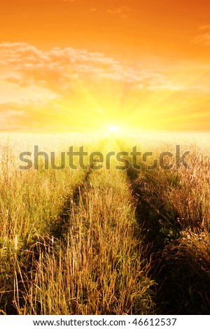Country road and sunset.