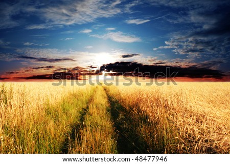 Rural road and sunset.