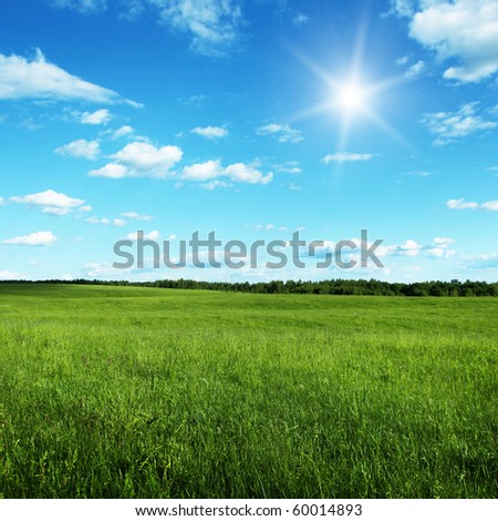 Blue sky with sun and summer field.