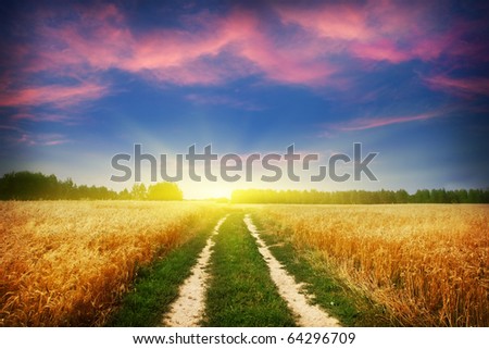 Country road and beautiful sunset.