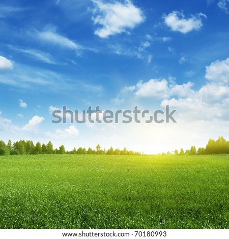 Green field and bright sun.