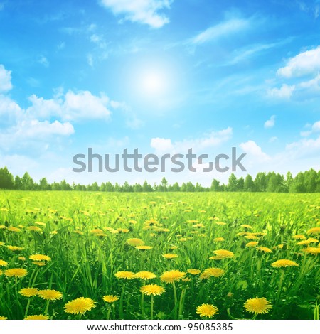 Sunlight in blue sky spring field.