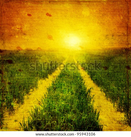 Grunge image of rural road,green field at sunset.
