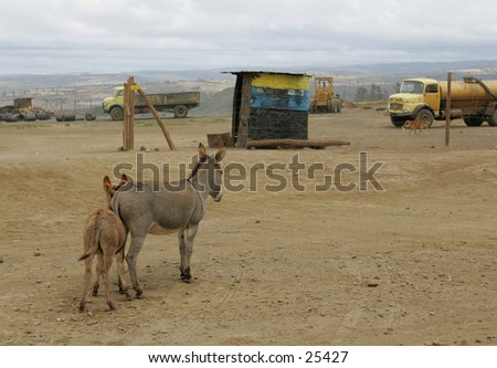Outdoor Plumbing, water often transported by donkey