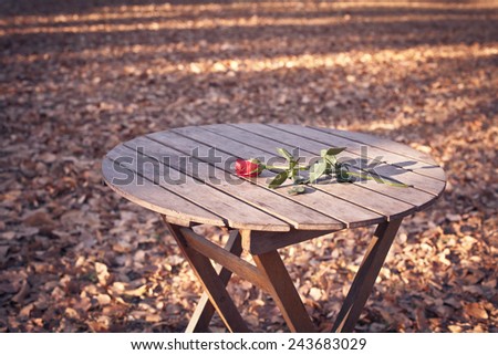 Red rose on the table , Background dry leaves