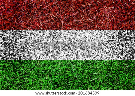 Hungary Flag color grass texture background concept
