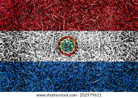 Paraguay Flag color grass texture background concept